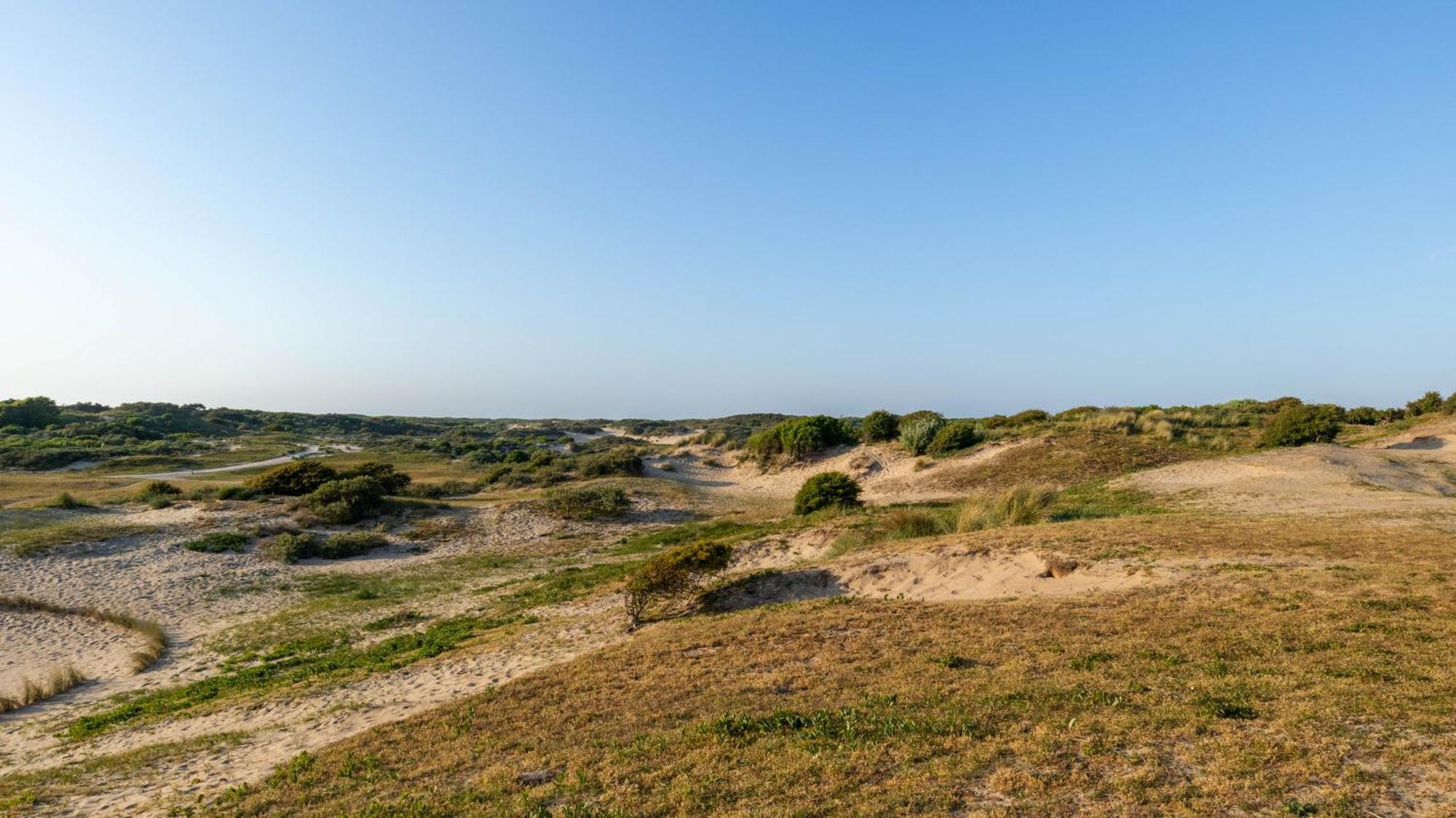 Beach Lodge 24 - Noordwijk Aan Zee - Met Eigen Tuin 외부 사진