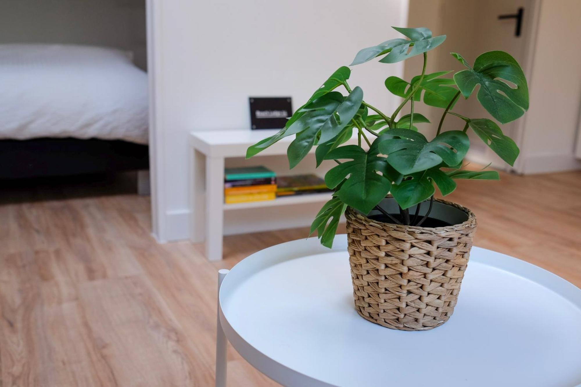 Beach Lodge 24 - Noordwijk Aan Zee - Met Eigen Tuin 외부 사진